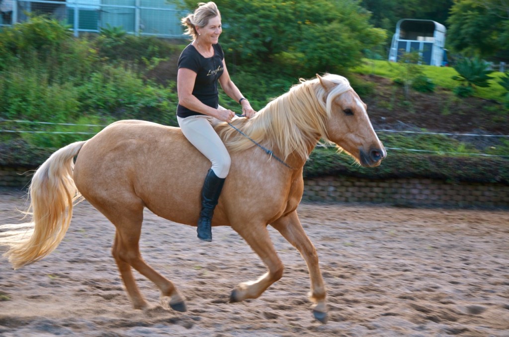 'Being' with Buffalo...no saddle, bit or bridle