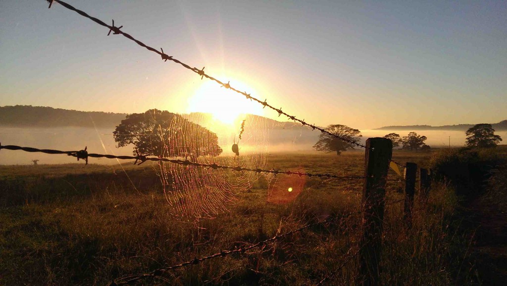 Peace and quiet in the early morning at Bentley.  Photo: Jess Gilmore