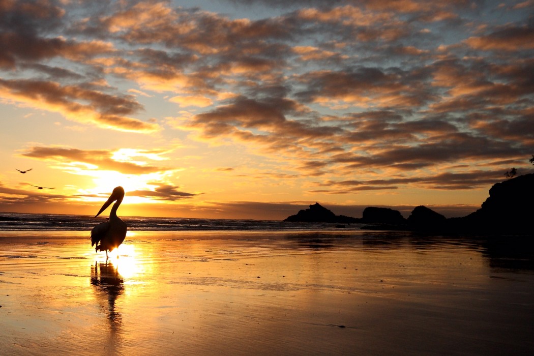 Sunrise on Australias east coast