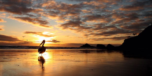 Sunrise on Australias east coast