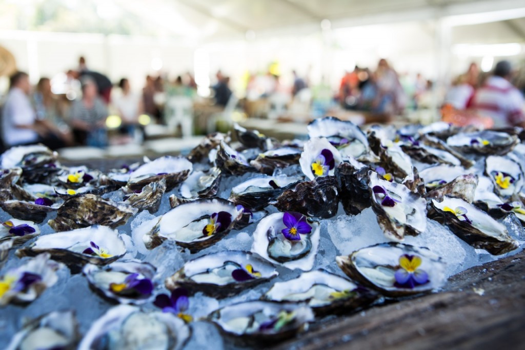 Organic Oysters will be at this year's Sample Festival.