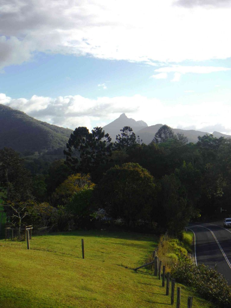 Mt Warning from the Tweed Regional Gallery verandah.  Photo: Bernadette Curtin.