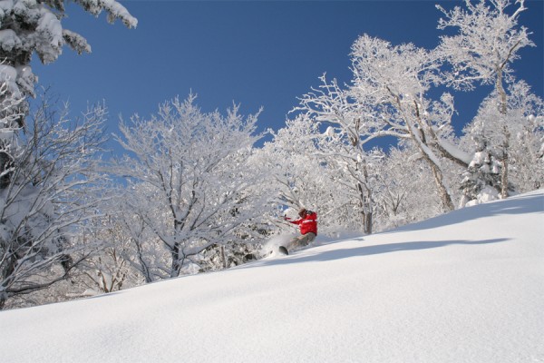Furano in Japan is renowned for its dry, powder snow.