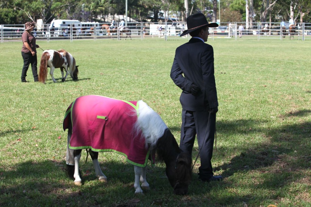 Bangalow show02