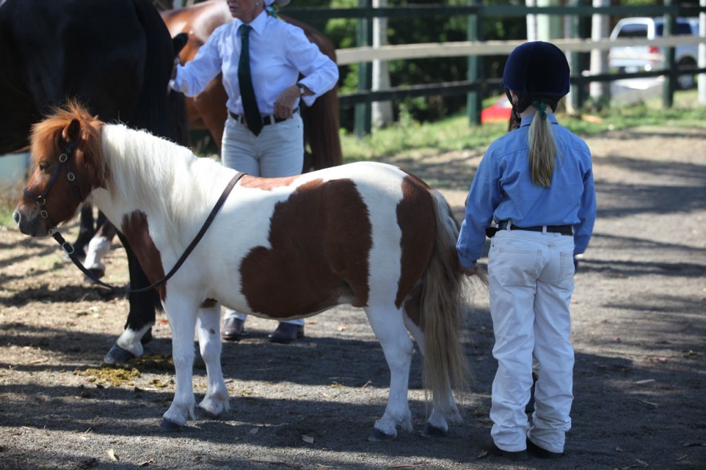 Bangalow show05