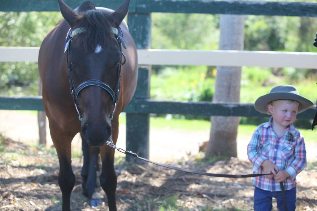 Bangalow show07