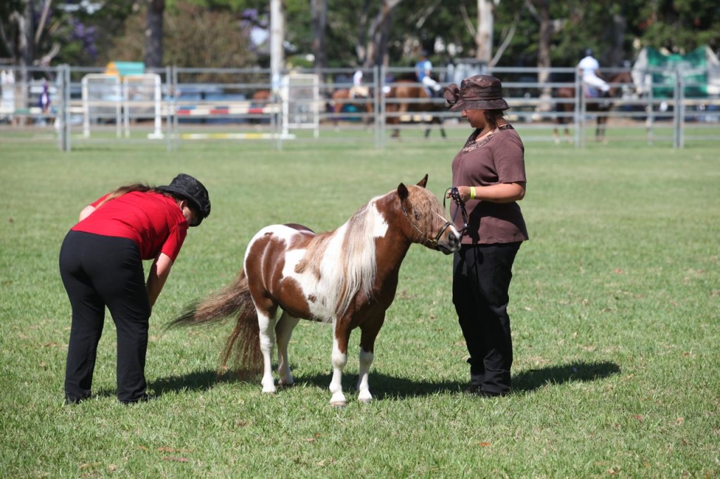 Bangalow show08