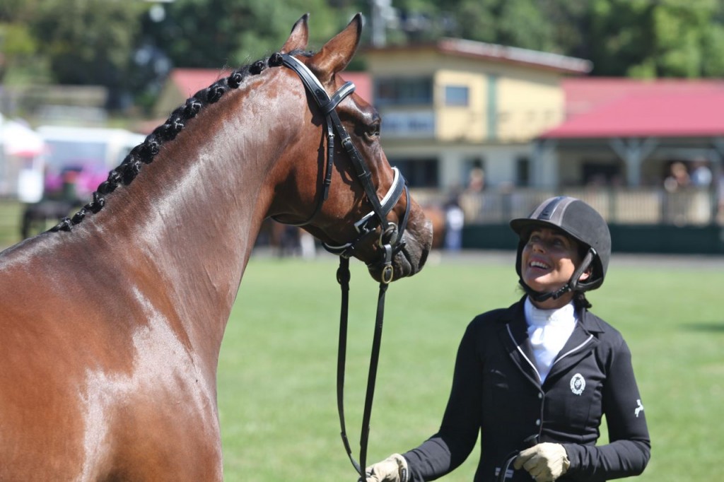 Bangalow show13