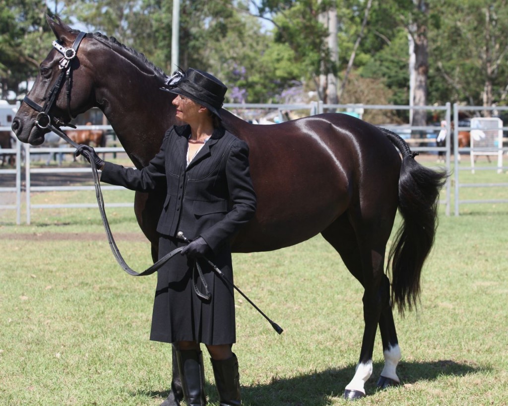 Bangalow show14