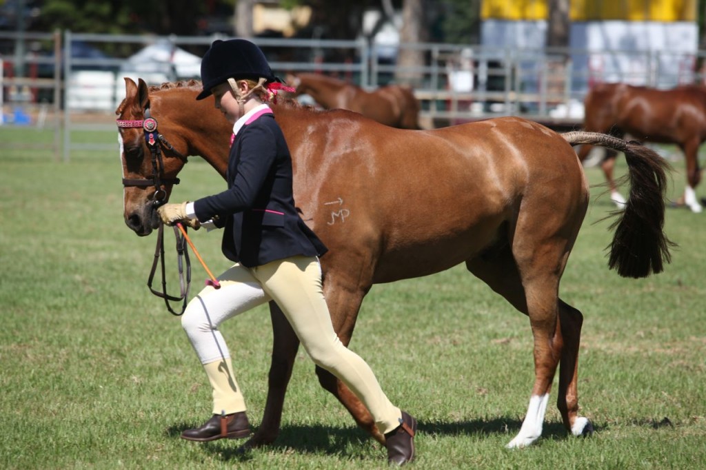 Bangalow show15