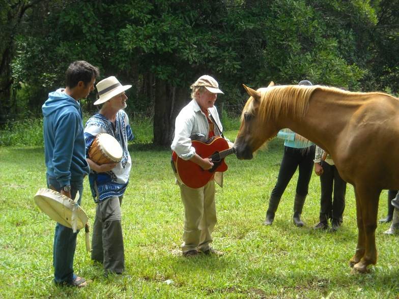 Buffaloandguitar