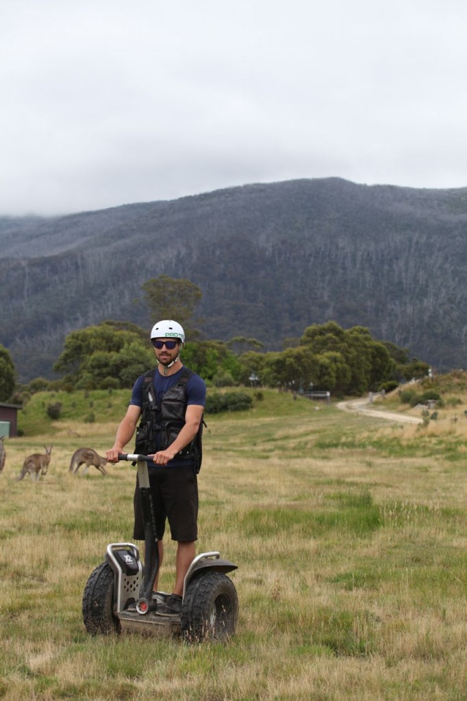 Matt Tripet, the Activate Centre Manager, shows us how it's done while the kangaroos look on