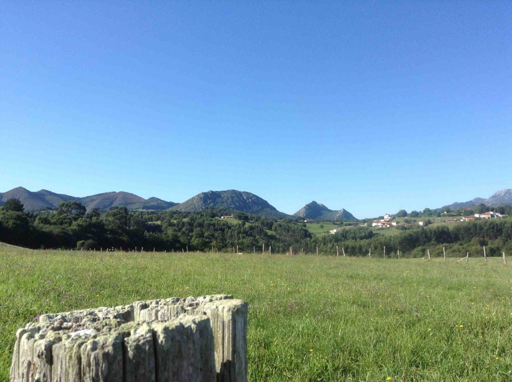 What could be better than a 100km walk through the Spanish countryside?