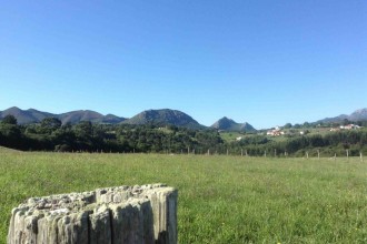 What could be better than a 100km walk through the Spanish countryside?