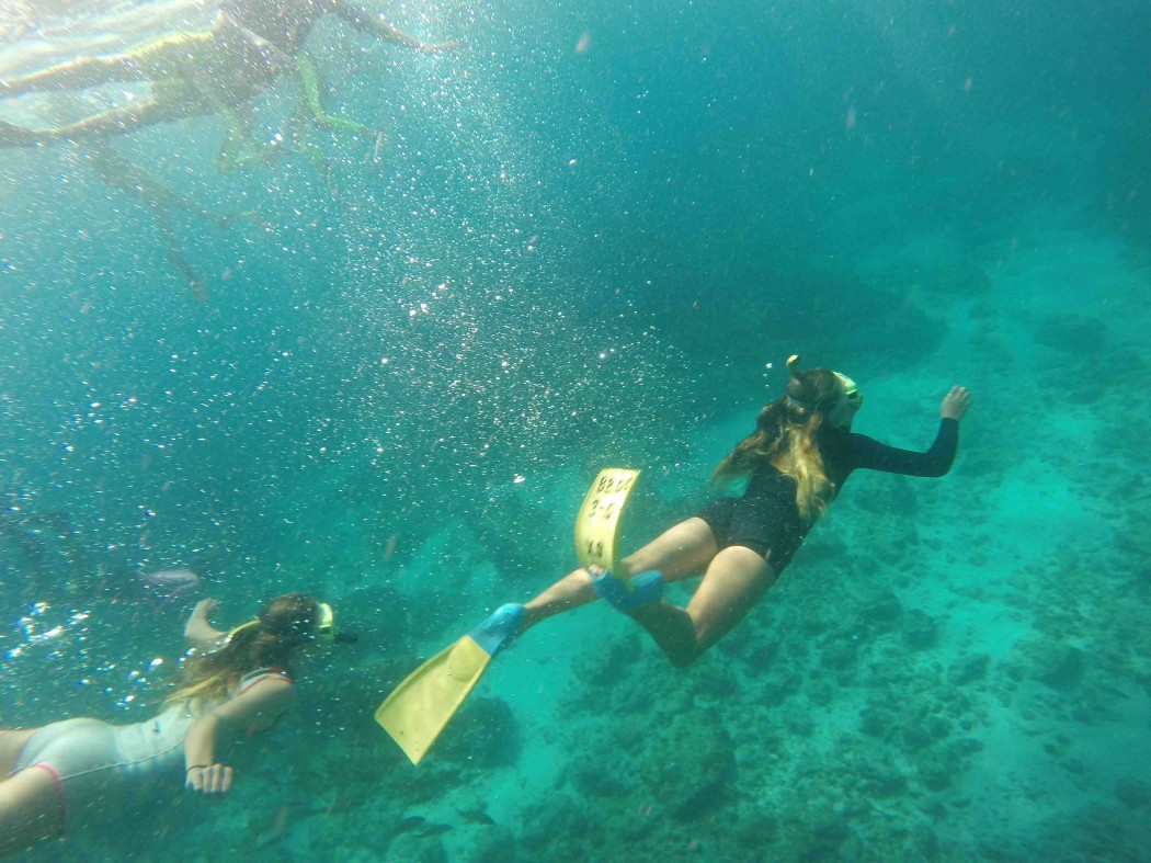 Snorkelling at Julian Rocks.  Photograph: Georgia Willey.