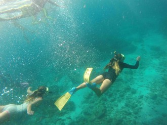 Snorkelling at Julian Rocks.  Photograph: Georgia Willey.