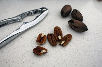 Local pecans attracted the attention of Stephanie Papillo from The Friendly Little Kitchen.