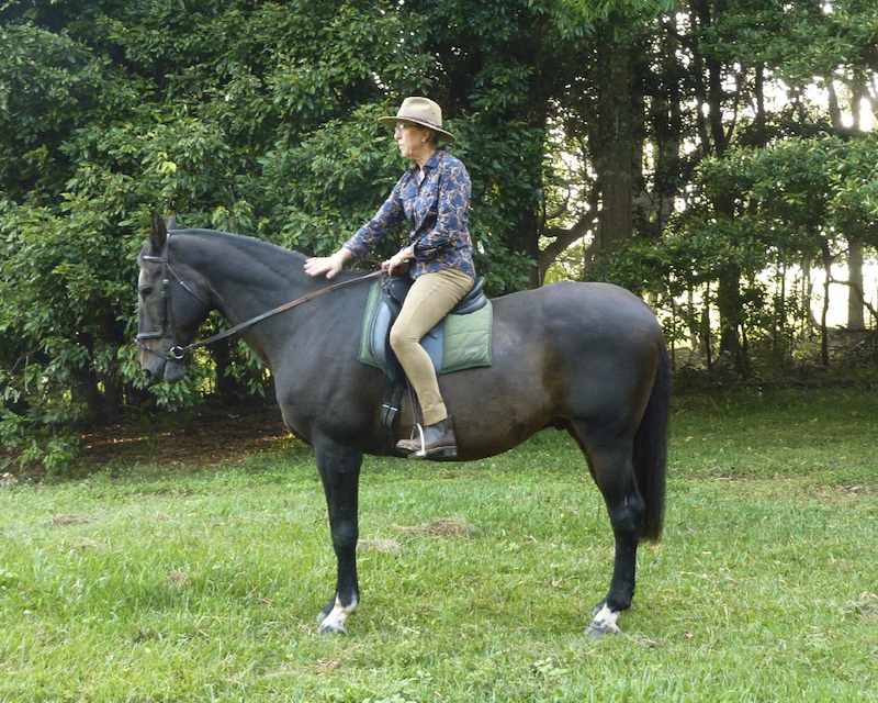 Sue Fraser_riding on arena 2