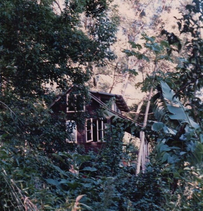 India's childhood home - a 'Hippie hut'  deep in the rainforest...