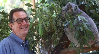 Tony Gilding and 'River' getting acquainted at the Macadamia Castle's new koala sanctuary.