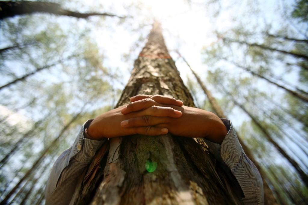 A boy hugs a tree trunk as he prepares to take part in an attempt to create a Guinness World Record for the most number of people hugging trees for two minutes in Kathmandu June 5, 2011. 879 people took part in the event, which was held on World Environment Day to spread the message of saving the environment. REUTERS/Navesh Chitrakar SOCIETY ENVIRONMENT IMAGES OF THE DAY)