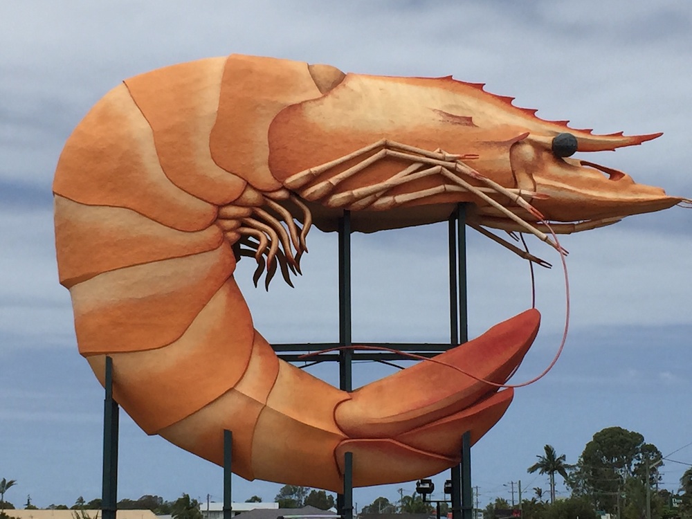 thebigprawn