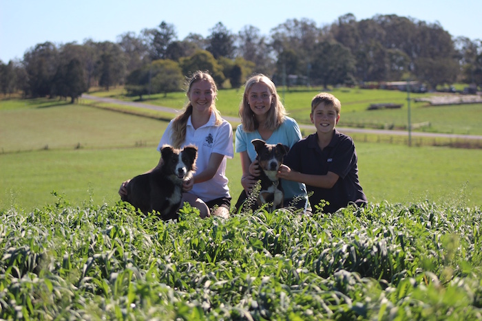 Terry Toohey's children - the fifth generation on the land.