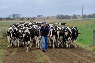 Terry Toohey, chairman of the ADF (Australian Dairy Farmers) Animal Health and Welfare Policy Advisory Group pictured on his dairy farm at Casino. photo Jacklyn Wagner