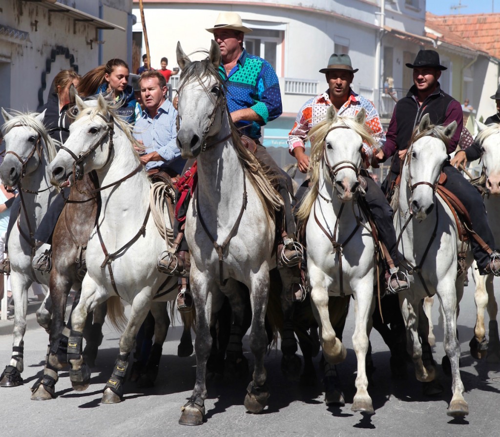 camargue-3