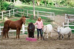 Sue Spence and her 'crew', Sunny, Yogi, Mindy and Larry.