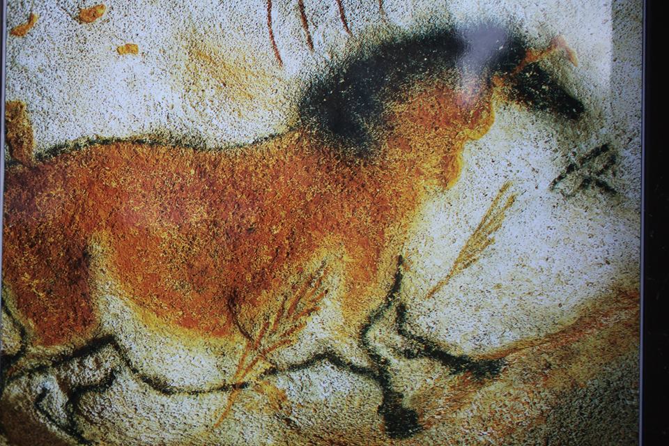 lascaux4