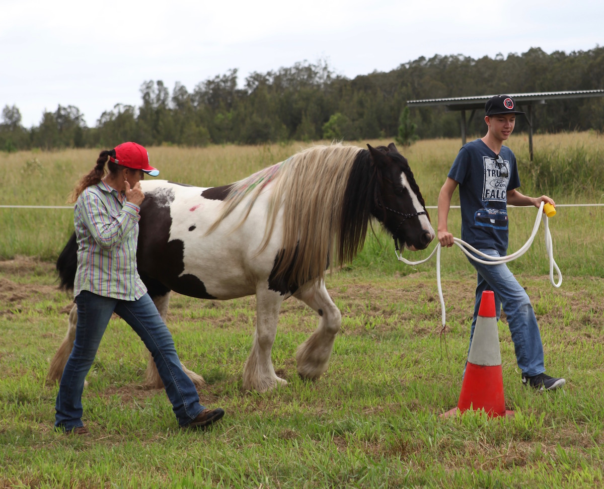 The client - 16-year-old Winter, the horse, Gypsy Cob Sweetcheeks and facilitator-in-training Sue Whatley.